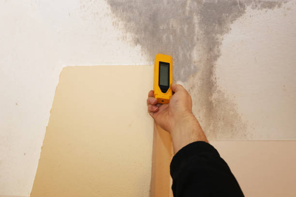 Best Post-Remediation Verification Testing  in Cowpens, SC