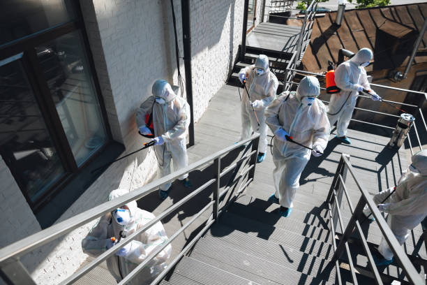 Best Mold Odor Removal Services  in Cowpens, SC