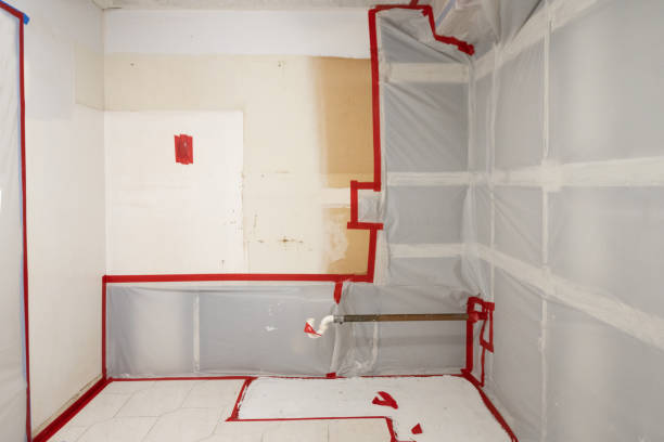 Best Forensic Mold Investigation  in Cowpens, SC