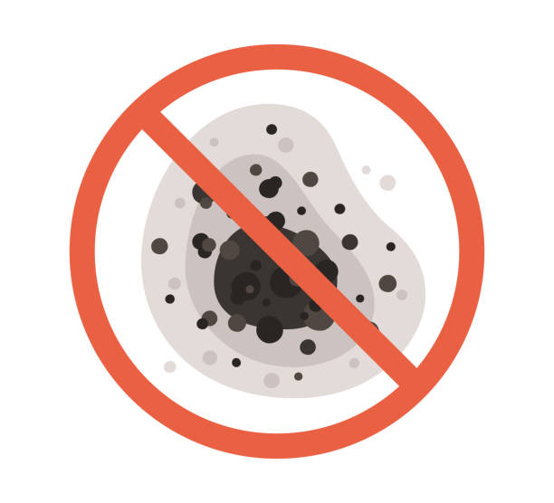 Best Mold-Related Health Consultation  in Cowpens, SC