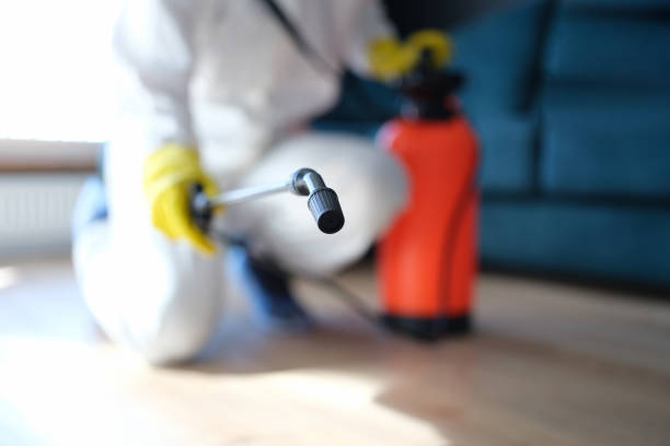 Best Air Quality Testing for Mold Spores  in Cowpens, SC