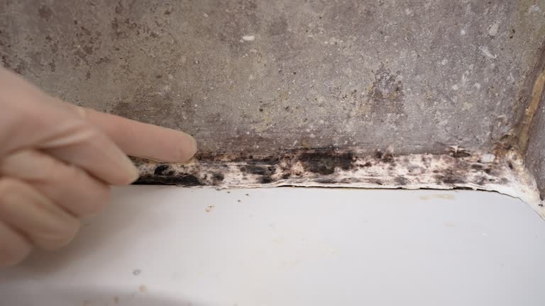 Best Mold-Related Health Consultation  in Cowpens, SC